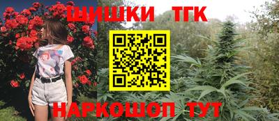 МДПВ Гусев