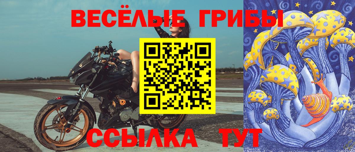 Благовещенск  Галлюциногенные грибы ЛСД  Вход с VPN 